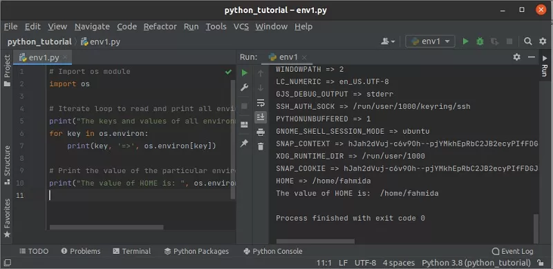 Python переменные окружения: виды и способы использования