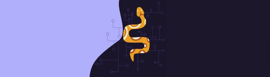Язык программирования Python: сферы применения, методы и этапы изучения