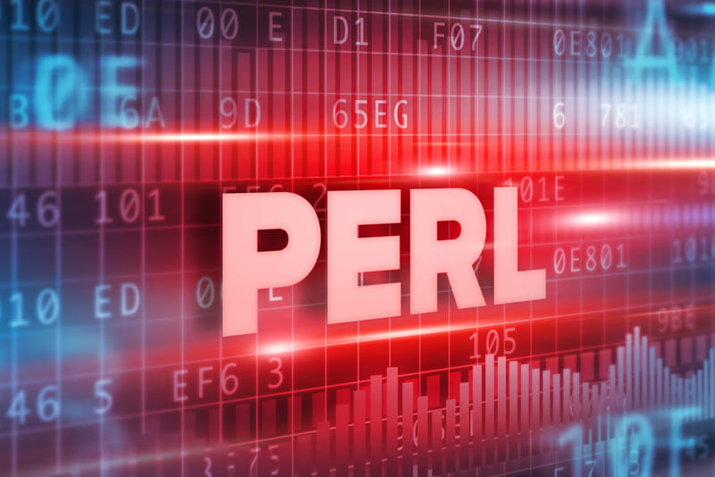 Описание языка программирования Perl
