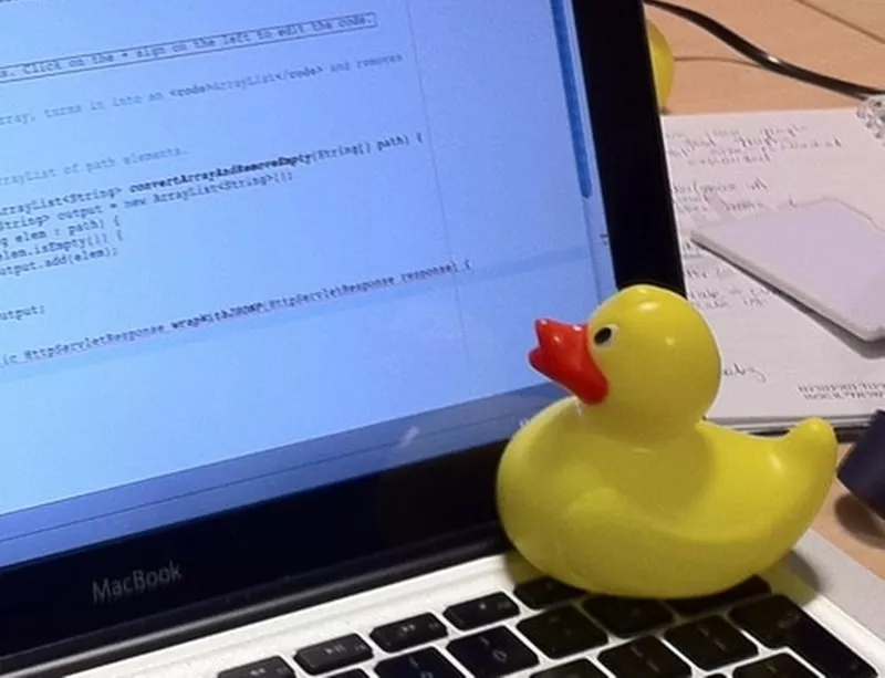 Метод утенка для программиста. Утенок программиста. Резиновая уточка программист. Желтая резиновая утка программист. Желтая уточка программист.