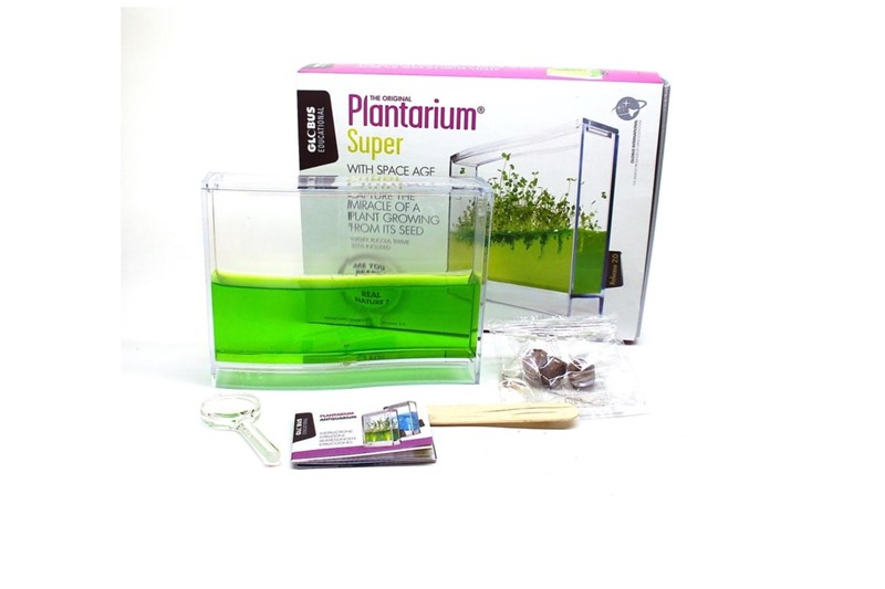 Плантариум — самодостаточное растение