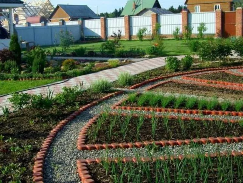 Варианты планировки сада и огорода