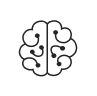 brain